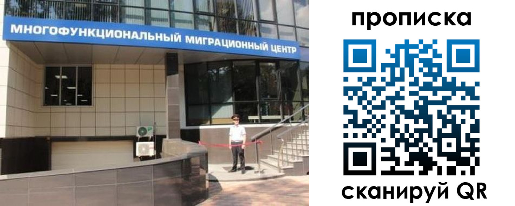 прописка штамп в Пионерском